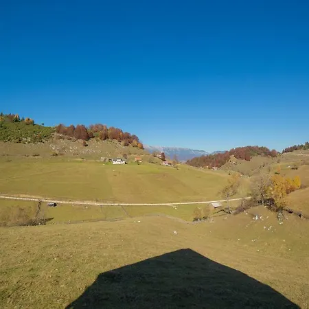 Villa Casa Sisif Fundata